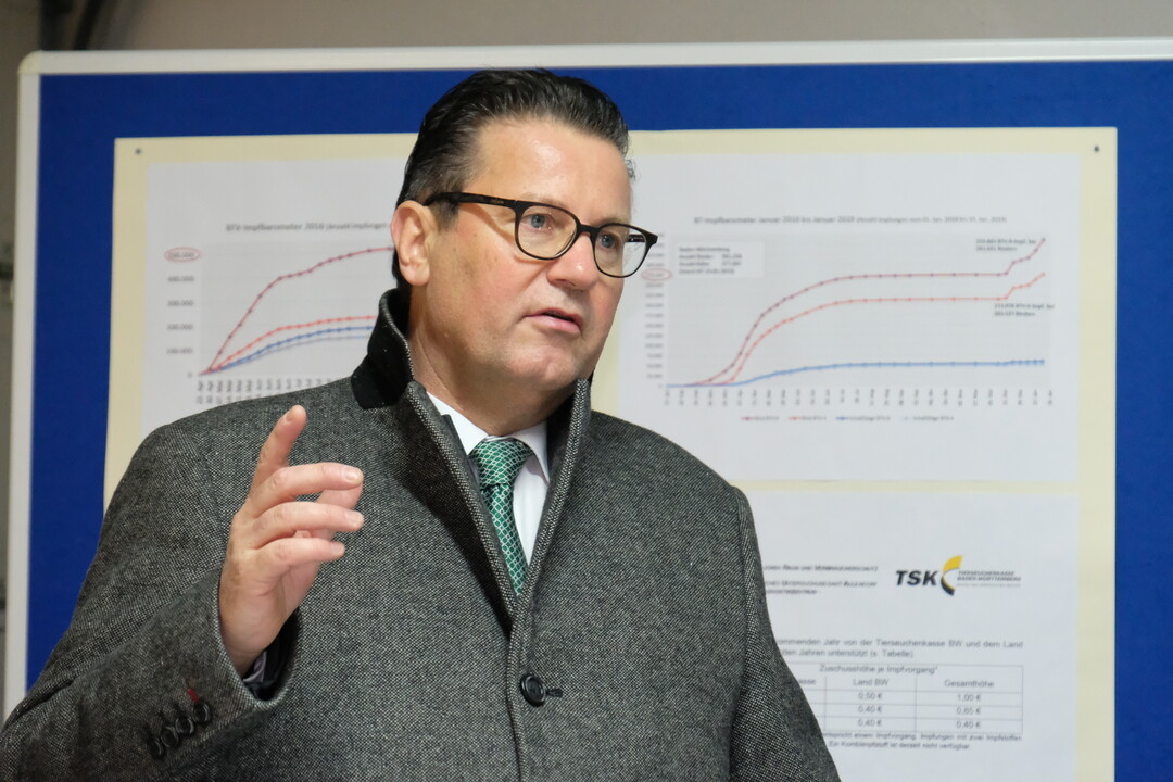 Minister Peter Hauk appelliert an alle Rinder-, Schaf- und Ziegenhalter im Land, ihre Tiere gegen die Blauzungenkrankheit impfen zu lassen.