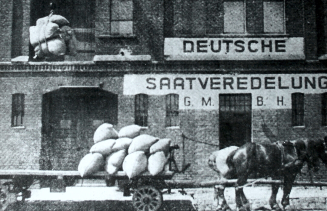 Gr�ndung 1923: Heute ist die DSV Gruppe ein international erfolgreiches Pflanzenz�chtungs- und Saatgutunternehmen mit Tochtergesellschaften in Polen, Frankreich, Gro�britannien, der Ukraine, den Niederlanden, D�nemark, Kanada und Argentinien.