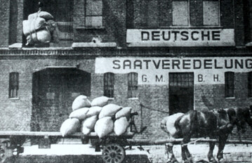 Gr�ndung 1923: Heute ist die DSV Gruppe ein international erfolgreiches Pflanzenz�chtungs- und Saatgutunternehmen mit Tochtergesellschaften in Polen, Frankreich, Gro�britannien, der Ukraine, den Niederlanden, D�nemark, Kanada und Argentinien.