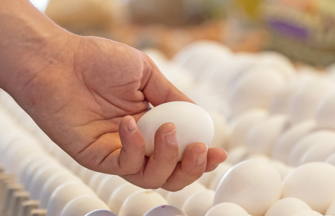 Der Bedarf der Deutschen konnte 2023 nur zu 73 % aus heimischer Ware gedeckt werden und der Selbstversorgungsgrad (SVG) sank um 3 %.