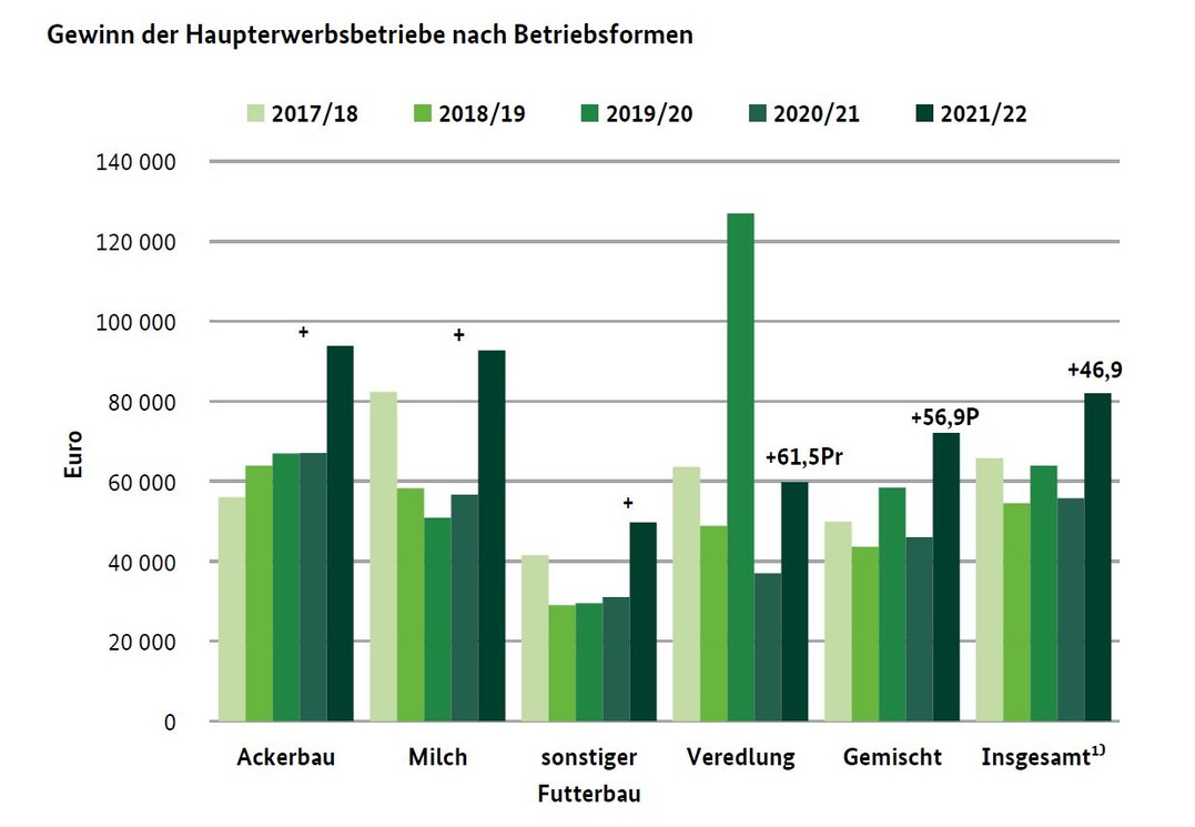 Gewinn der Haupterwerbsbetriebe nach Betriebsformen