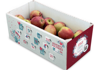 Doppelnutzung einer Apfelverpackung: Neben dem Verkauf von Fr�chten kann der Karton auch als Adventskalender genutzt werden.&nbsp;
