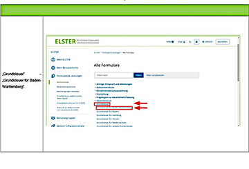 Im Steuerportal ELSTER m�ssen Sie unter "Alle Formulare" - "Grundsteuer" - "Grundsteuer f�r Baden-W�rttemberg" ausw�hlen.