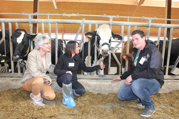 Vorf�hrung der mobilen Messtechnik f�r Tierwohl im Laufstall von Stephan Lang, Kressbronn, mit seinen 230 Holsteins, die pro Tier und Jahr im Schnitt 9200 kg Milch geben: Die Landesbeauftragte f�r Tierschutz, Cornelie J�ger (links) und die N�rtinger Professorin Barbara Benz sind �berzeugt, dass man Tierwohl messen kann. Ein Sensor im Halsband der Kuh zeichnet das Fressverhalten auf.