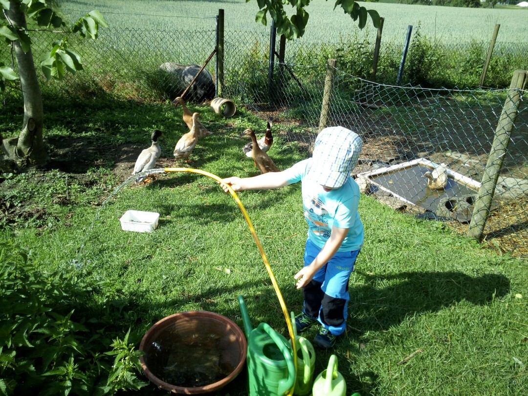 Tiere versorgen macht Kindern Freude