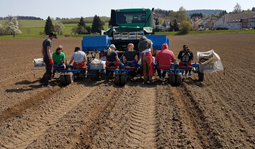 Pflanzerteam aus Schülern und Studenten im Einsatz: Anfang April gepflanzt, werden die Erdbeeren wie auf diesem Feld von Erdbeer-Schilling zwischen Baienfurt und Weingarten erst im Folgejahr geerntet.