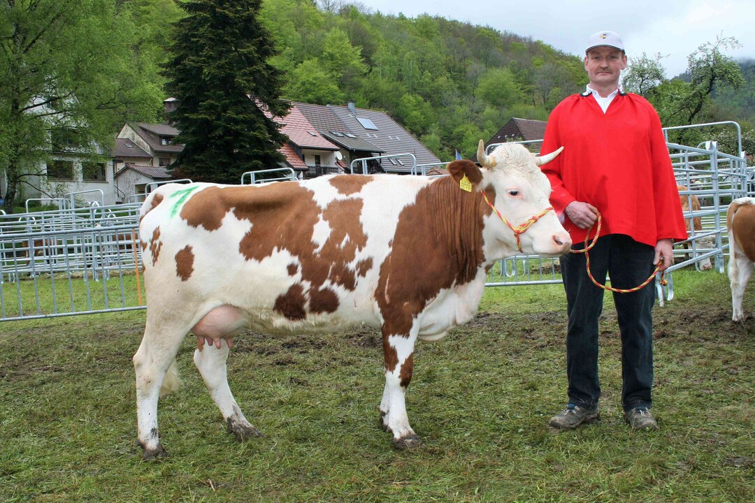 Euter Res: Reserveeutersiegerin wurde die Siltnaptochter Fricka vom Betrieb Hubert Schätzle aus Todtnau-Präg. Wie weitere vier Halbschwestern zeigte sie ein hervorragendes Jungkuheuter.