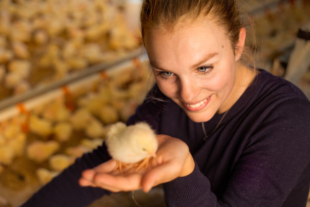 Leonie Behrens ist Marketingchefin bei der EZ und verantwortlich f�r die Vermarktung des Bruderhahnfleisches.