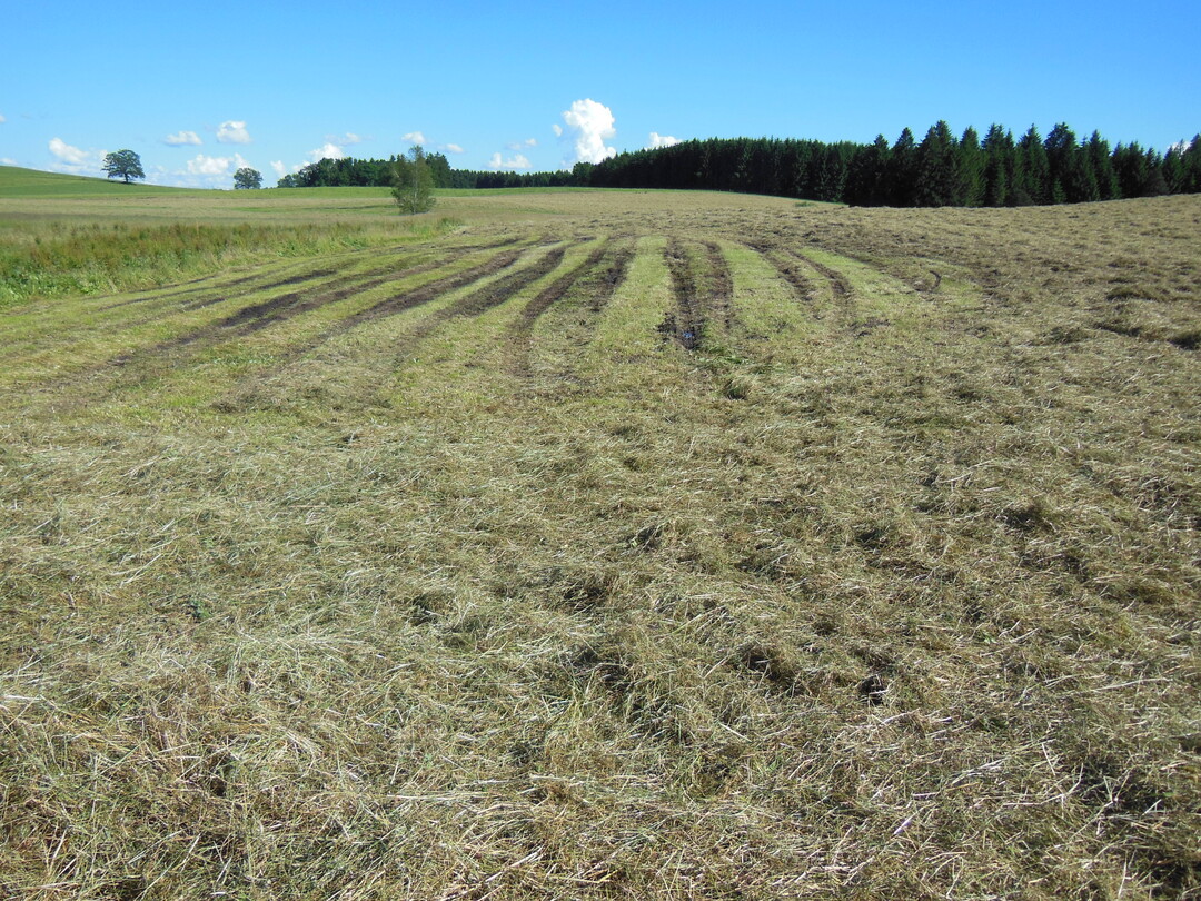 Bedingt durch die großen Niederschlagsmengen war der Untergrund mancher Grünlandfläche so stark vernässt, dass Fahrspuren in nur kurzen Erntefenstern nicht ausblieben. Im Frühherbst sollten diese Narbenschäden nun behoben werden.