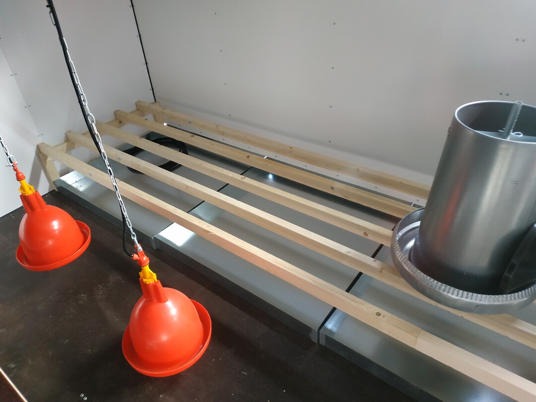 Hier sind mehrere Fehler im Bild: Die Kotgrube hat keine Roste, so sind Hennen und Kot nicht getrennt. Die Sitzstangen bestehen aus einfachen Kanthölzern. Deren Querschnitt ist zu groß, die Tieren können sie nicht richtig umgreifen. Die Kanten sind nicht gebrochen. Fußballengeschwüre sind vorprogrammiert. Auch die Futterglocke ist zu scharfkantig.