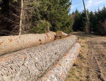 Fichten- und Tannen-Langholz war 2022 auf einem durchgängig vernünftigen Niveau, mit regionalen Unterschieden und teils monatlichen Preissprüngen.