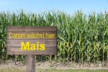 Die Schilder des DMK sind nicht wie auf diesem nachgestellten Bild aus Holz, sondern aus hochwertigem Hartschaum gefertigt.