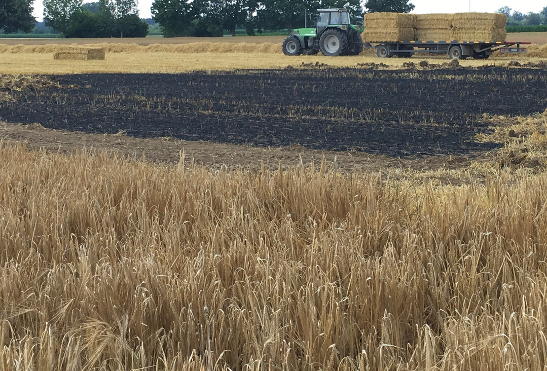 Selten, dass ein Feuer so schnell gel�scht werden kann. Oftmals brennen mehrere Hektar ab.