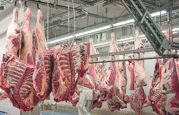 Für Rindfleisch ist der Absatzmarkt in der Gastronomie und der Außer-Hausverpflegung ebenso wie der Export nach Frankreich und Italien komplett weggebrochen.