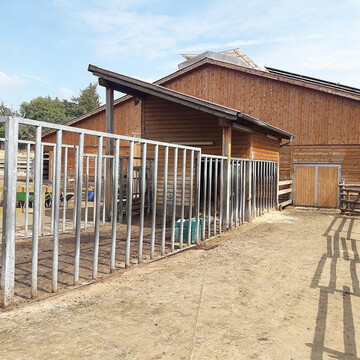 �ber den Laufhof haben K�he und Bulle die M�glichkeit, Kontakt aufzunehmen. Senkrechte Streben bilden eine stabile Einz�unung und erm�glichen dem Tierbetreuer gegebenenfalls die Flucht �ber die gesamte L�nge der Deckbullenbucht.