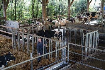 Senkrechte Stangen zur Abgrenzung erm�glichen in Gefahrensituationen die Flucht aus der gesamten Bullenbucht.