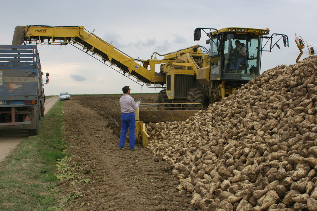 Der Unternehmer ist daf�r verantwortlich, dass sowohl der Verlader als auch der Fahrer die Lademenge einhalten.