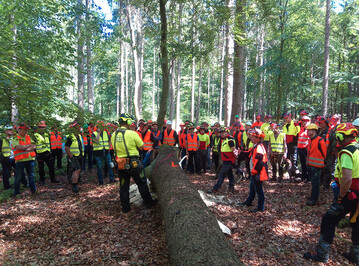 Schulung im Forstgutsbezirk Glash�tte: Teilnehmende waren private und kommunale Waldbesitzer, forstliche Besch�ftigte und Forstunternehmer, F�rster, Fachkr�fte f�r Arbeitssicherheit sowie Sicherheitsbeauftragte. Vor Ort waren auch Thomas Schr�der, Vorstandsmitglied der SVLFG aus Quickborn, und Dr. Maurice Strunk, Gesch�ftsf�hrer des Deutschen Forstunternehmerverbandes.
