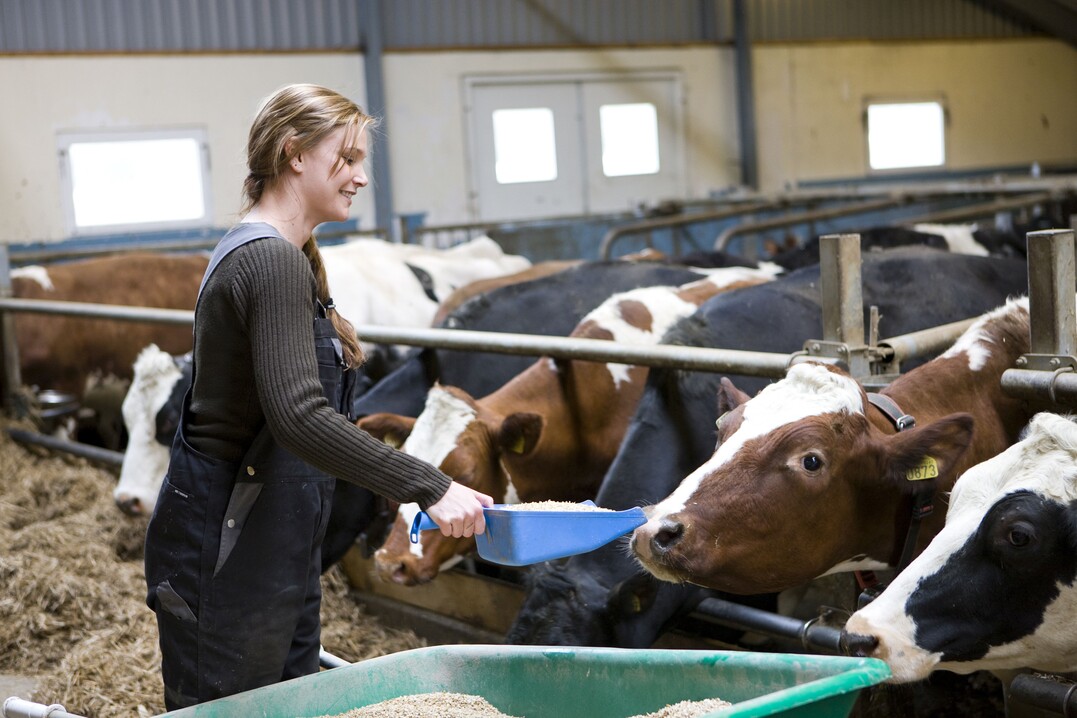 Model Foto: Colourbox.de/Kierstein