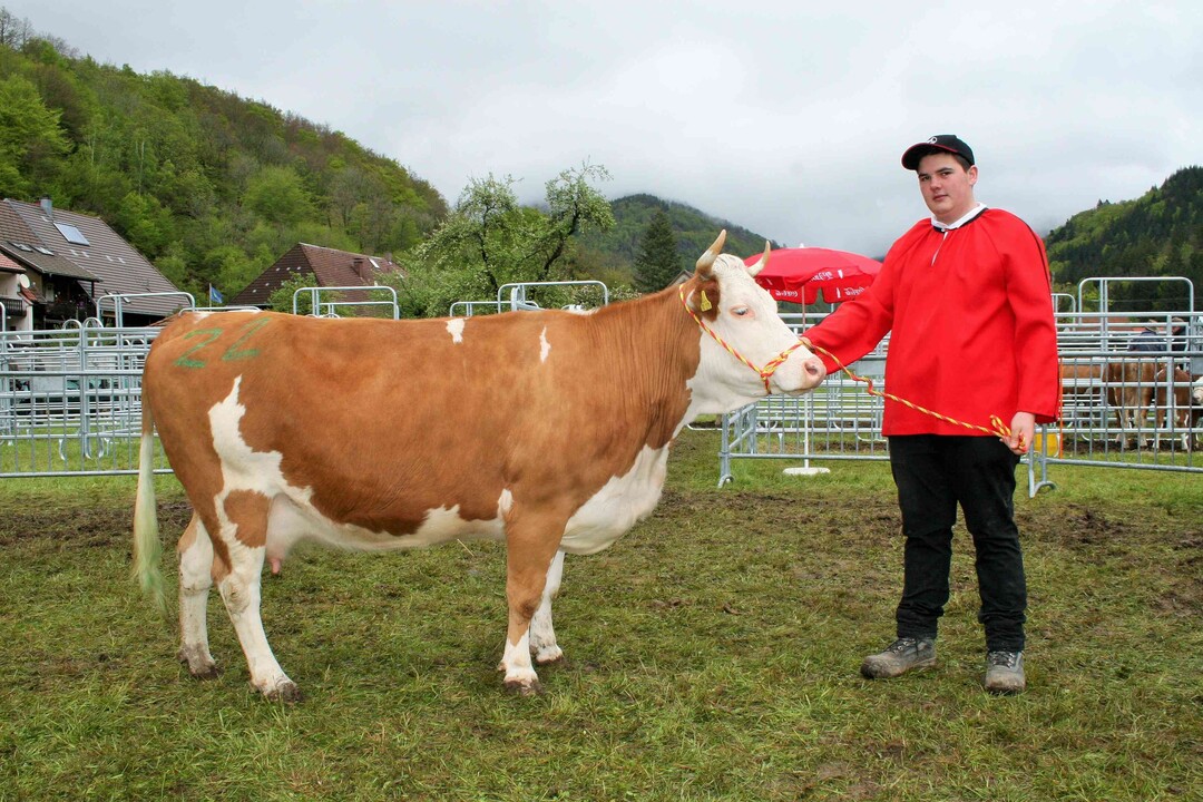 Fundament Res: Den Fundamentreservesieg landete die Hummeltochter Golda von Werner Büchele aus Aitern-Rollsbach.