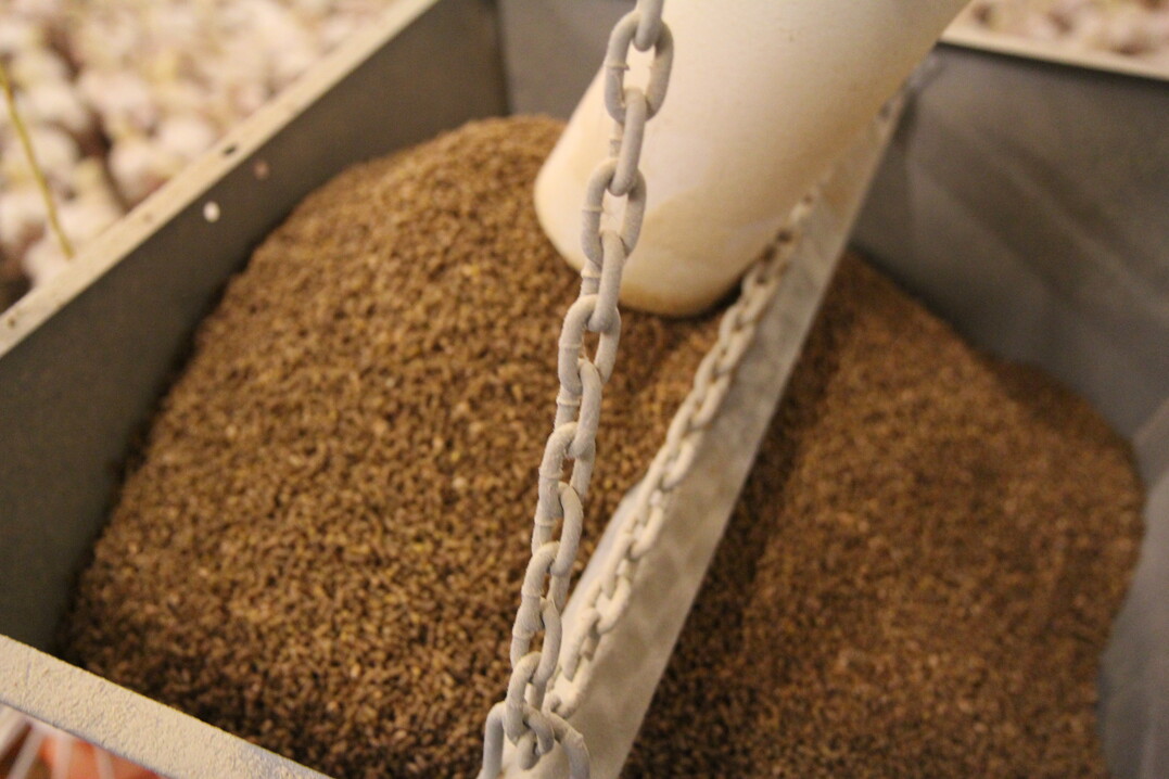 Die niederl�ndischen Futtermittelhersteller verklagen die Haager Regierung.