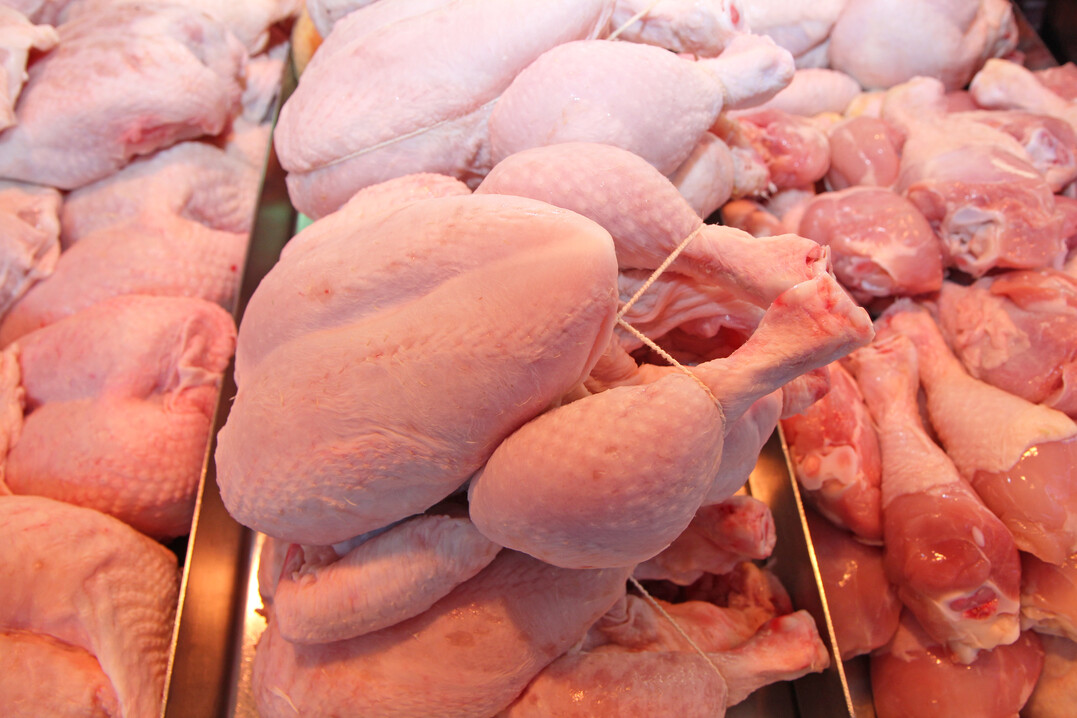 In der EU ist die Geflügelfleischproduktion im Jahr 2022 um 1,7 Prozent gesunken.