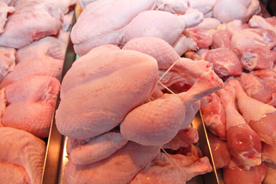 In der EU ist die Gefl�gelfleischproduktion im Jahr 2022 um 1,7 Prozent gesunken.