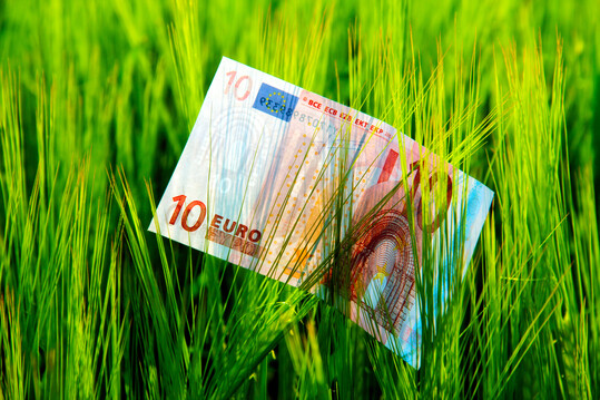 Umfangreiche Beihilfenpakete sollen� den Tierbestandsabbau in der niederl�ndischer Landwirtschaft sozial abfedern.