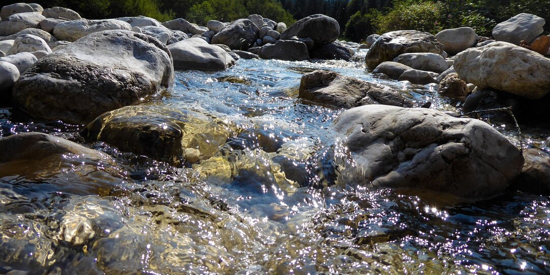 In Wasserschutzgebieten ist auf den Einsatz von Chloridazon-haltigen R�benherbizidenn-haltigen R�benherbiziden aus aus Gr�nden des Grundwasserschutzes v�llig zu verzichten.