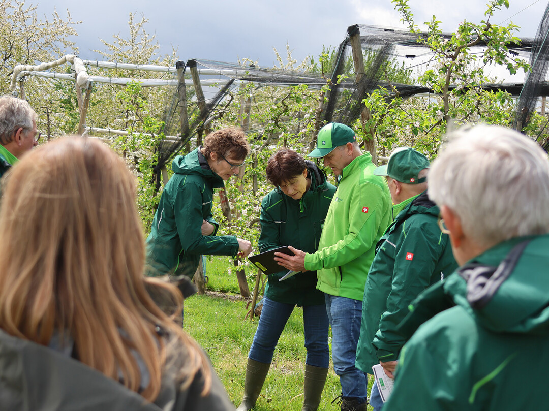 Bei einer Begehung der Anlagen in der Ortenau werden die Frostschäden taxiert.