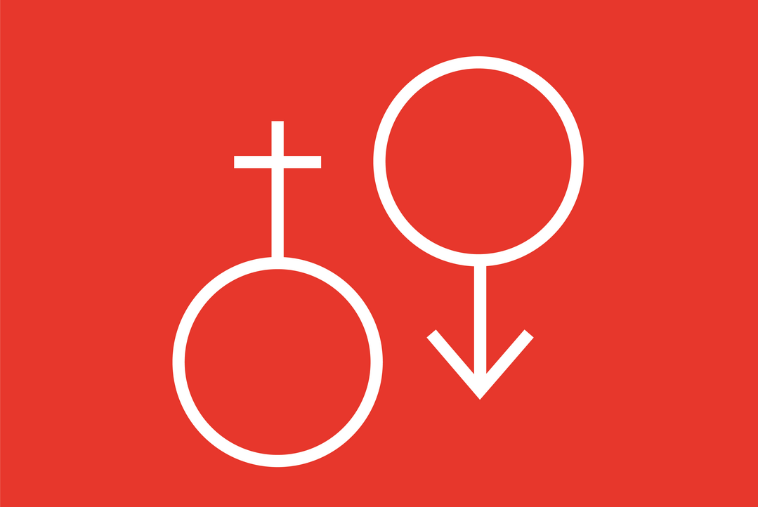 Ab dem 1. Januar 2024 soll der Abbruch der Bebrütung männlicher Hühnerembryonen erst ab dem 13. Bebrütungstag verboten sein.