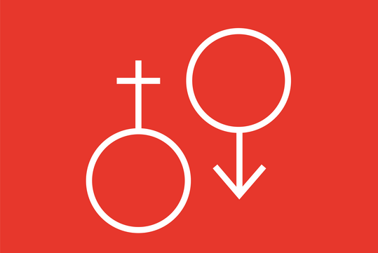 Ab dem 1. Januar 2024 soll der Abbruch der Bebr�tung m�nnlicher H�hnerembryonen erst ab dem 13. Bebr�tungstag verboten sein.