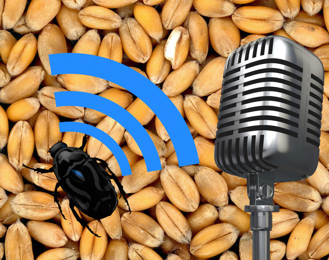 Fotomontage zum Abhören von Schädlingen im Getreidelager.