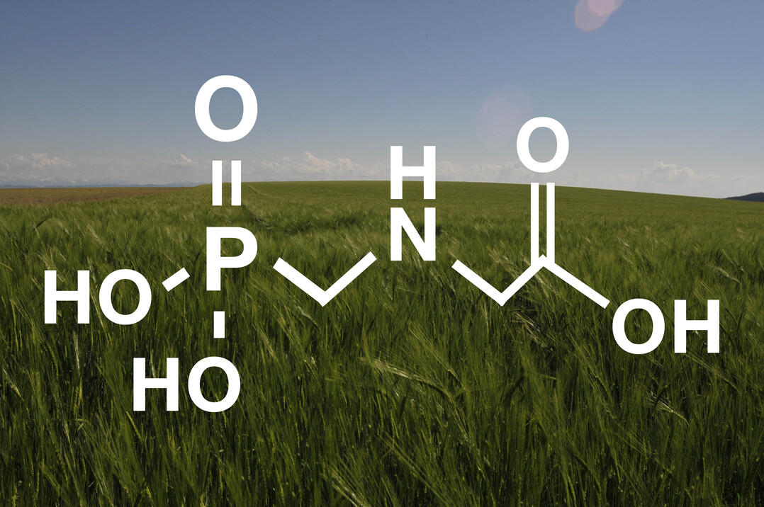 Strukturformel von Glyphosat