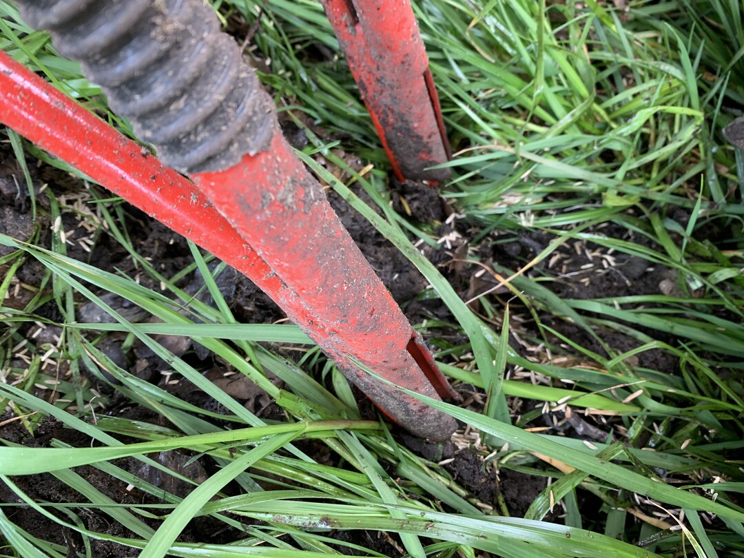 Mit der neuen Zinkensaat f�r die Gr�nlandnachsaat bietet G�ttler eine Alternative in der Gr�nlandpflege an.