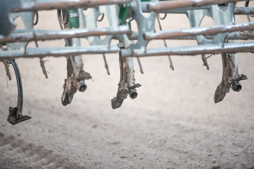 Um Emissionen zu reduzieren, muss die G�lle unmittelbar eingearbeitet werden.