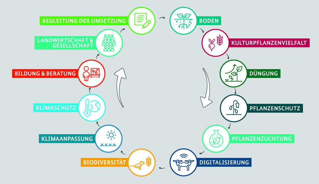 Die Handlungsfelder der Ackerbaustrategie 2035.