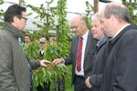 In der Kirschenanlage wird das ganze Schadensausmaß durch den Frost sichtbar. Landwirtschaftsminister Peter Hauk (l.) machte sich auf Einladung von LVEO-Präsident Müller (3. v. r.) auf dem Betrieb von Thomas Heilig (2. v. r.) ein Bild von den Frostschäden. Auch Landtagsabgeordneter Martin Hahn (Grüne) zeigte sich betroffen.