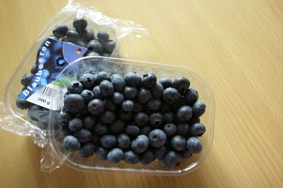 Heidelbeeren sind gefragt. Der Anbau wurde in den letzten Jahren stark ausgeweitet.