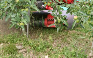 Nach dem Aus für Basta ist eine neue Unkrautbekämpfungsstrategie für bewuchsfreie Baumstreifen im Obstbau nötig. Eine Möglichkeit ist die Kombination von chemsichen Mitteln mit mechanischen Maßnahmen wie dem Fadengerät.
