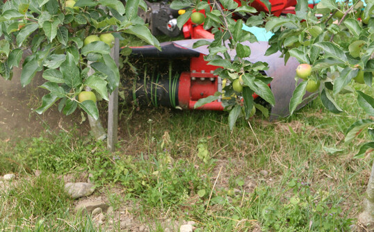 Nach dem Aus für Basta ist eine neue Unkrautbekämpfungsstrategie für bewuchsfreie Baumstreifen im Obstbau nötig. Eine Möglichkeit ist die Kombination von chemsichen Mitteln mit mechanischen Maßnahmen wie dem Fadengerät.