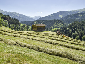 Heuwirtschaft tr�gt zum Erhalt von Dauergr�nland bei und leistet damit einen Beitrag zum Schutz des �kosystems.&nbsp;
