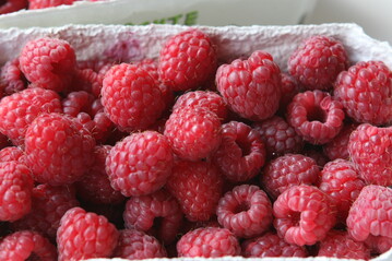 Unter den Strauchbeeren ist neben der Heidelbeere die Himbeere der Favorit bei den Verbrauchern.