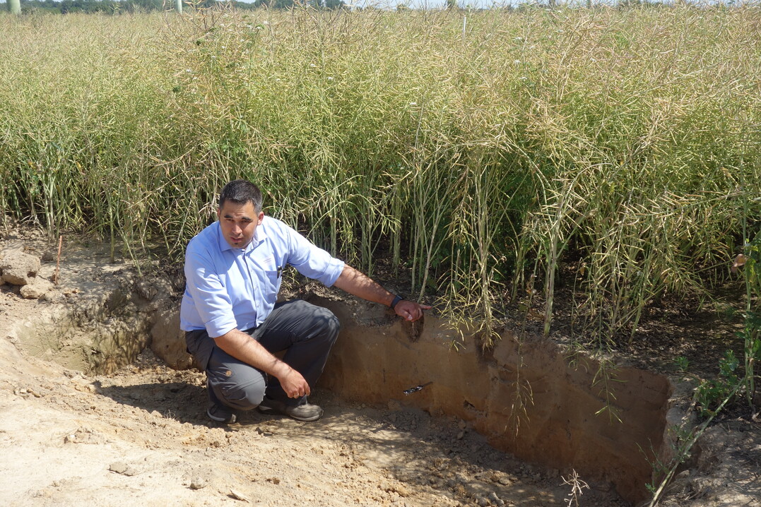 Andreas Baer stellt die WurzelPlus-Beizung mit einem Bacillus zur Wuchsunterstützung des Rapses vor.
