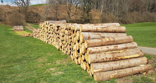 Die Fichte steht durch den Klimawandel extrem unter Druck. Gleichzeitig verteuert und verzögert eine insgesamt mangelnde Verfügbarkeit von Holz viele Bauprojekte. Auch für die Wirtschaft könnten wichtige Holzverpackungen und Paletten knapp werden. Das Bild zeigt zum Abtransport hergerichtete Fichtenstämme aus Käferholz in Oberschwaben. Dieses Holz könnte unter anderen für die Palettenherstellung herangezogen werden. In der Region Oberschwaben wird derzeit so ziemlich jedes Holz gut nachgefragt und verkauft. Die Preise im Leitsortiment (Fichte) sind für gute Qualitäten auf 90 Euro pro fm gestiegen.