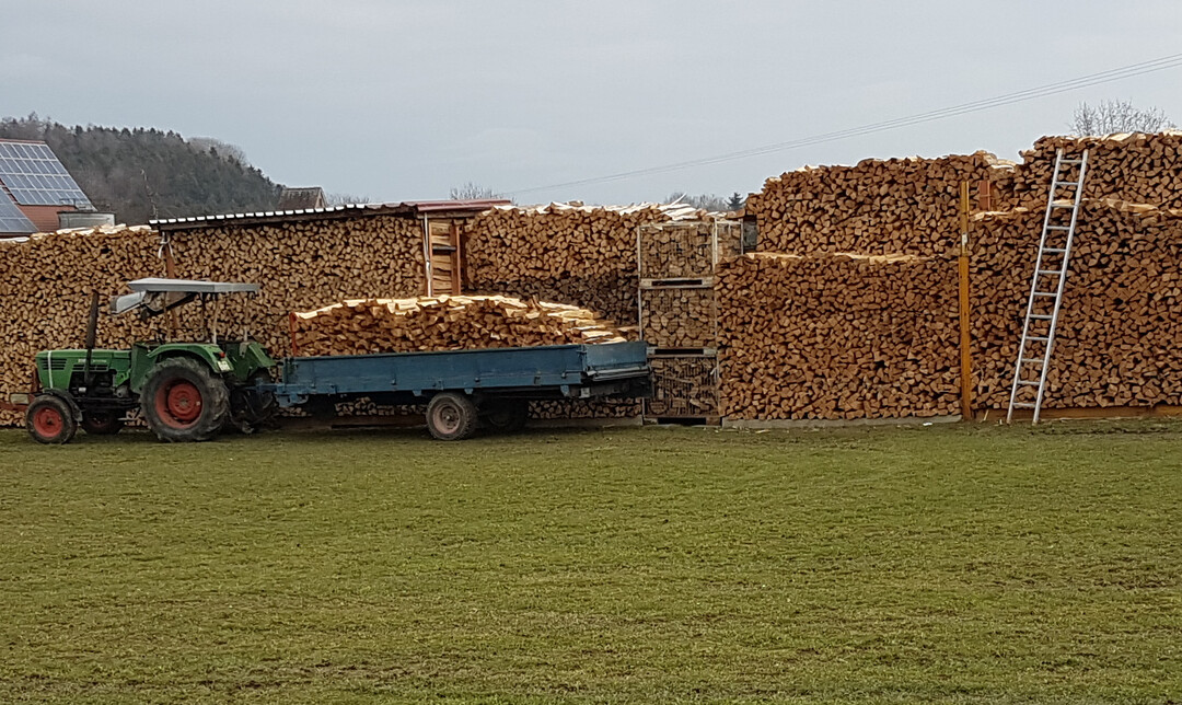 Holz k�nnte mit dem neu geplanten Geb�udeenergiegesetz weiter einen wirksamen Beitrag f�r eine klimafreundlichere W�rmeversorgung leisten.