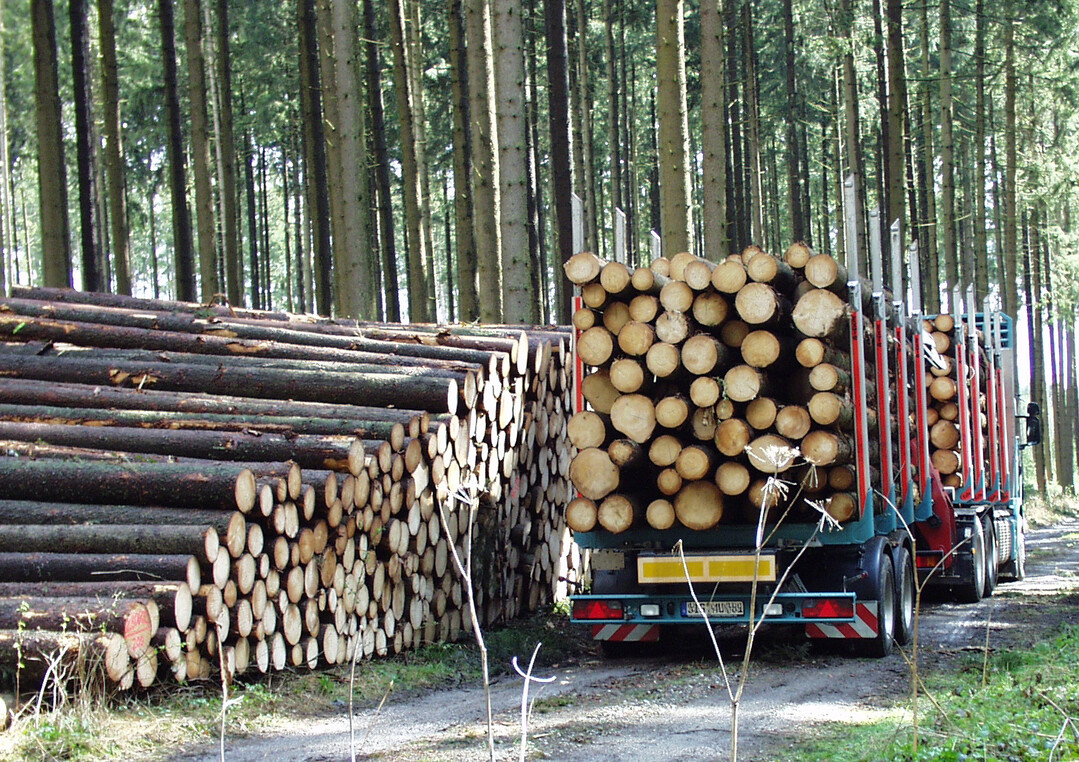 Die Sondergenehmigung des Verkehrsministeriums, dass Holztransporte bis 44 Tonnen m�glich sind, ist am 31. Mai ausgelaufen. Eine Fristverl�ngerung w�re das Gebot der Stunde.