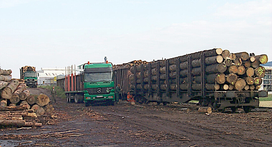 Neben der Modernisierung des Gleisnetzes und der Schaffung von Verladeinfrastrukturen auf der Schiene fordert die AGR auch die generelle Erh�hung des zul�ssigen Gesamtgewichtes (zGG) von Holztransporten. 
