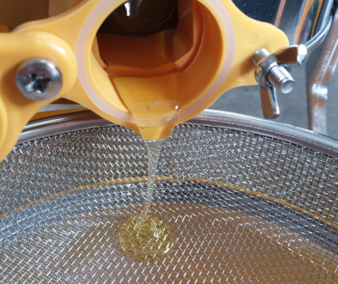 Die Honigertr�ge waren 2021 in Baden-W�rttemberg sehr gering