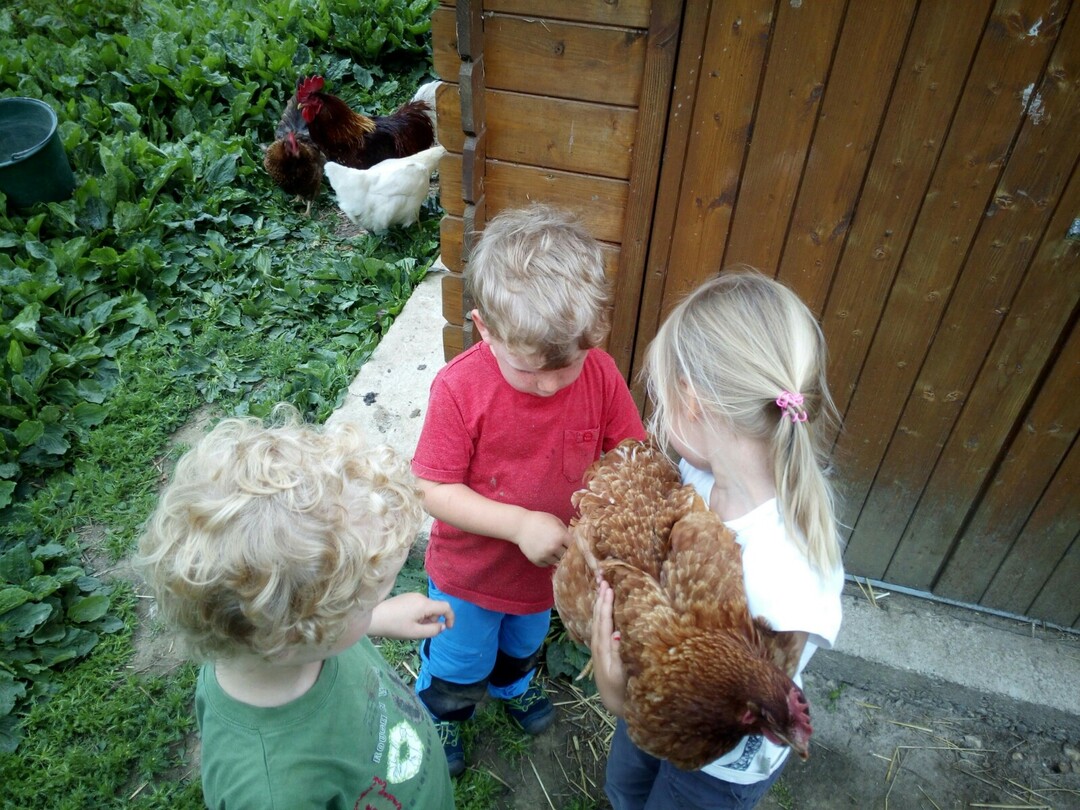 Der Kindergarten auf dem Bauernhof bietet ein breites Erlebnis- und Erfahrungsfeld.
